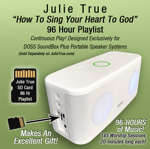 Julie True - How To Sing Your Heart To God - New 96-Hour SD Card
